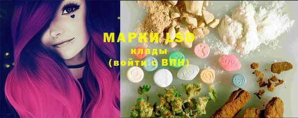 ПСИЛОЦИБИНОВЫЕ ГРИБЫ Горнозаводск