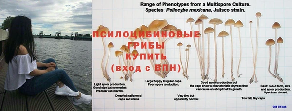бутик Горно-Алтайск