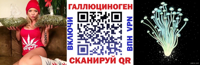 Псилоцибиновые грибы прущие грибы  Камышин 